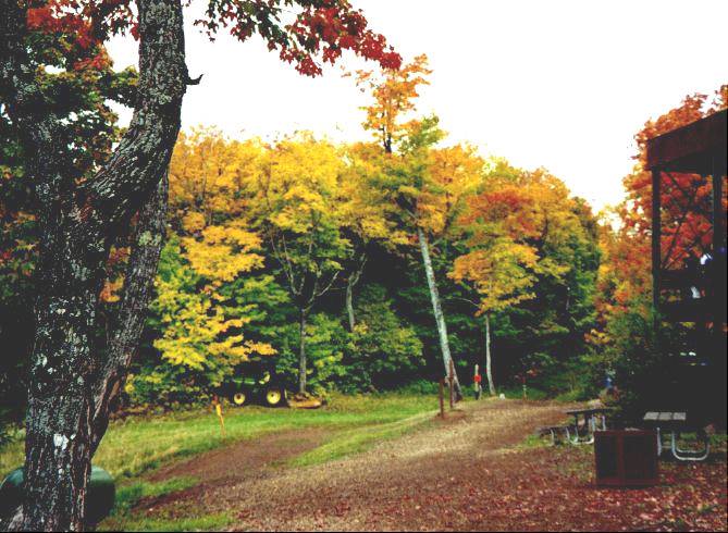 Beautiful Fall Foliage pictures